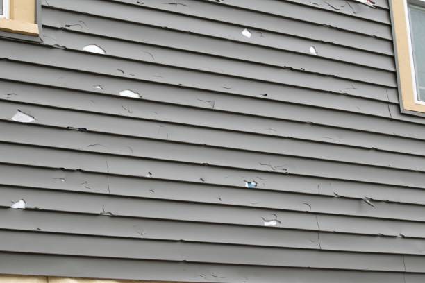 Best Demolition Debris Removal  in Madison, IL