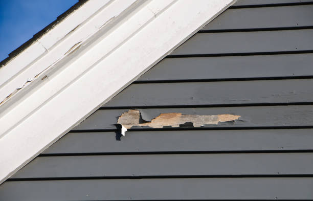 Best Hoarding Cleanup  in Madison, IL