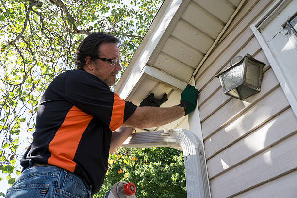 Best Property Management Cleanouts  in Madison, IL